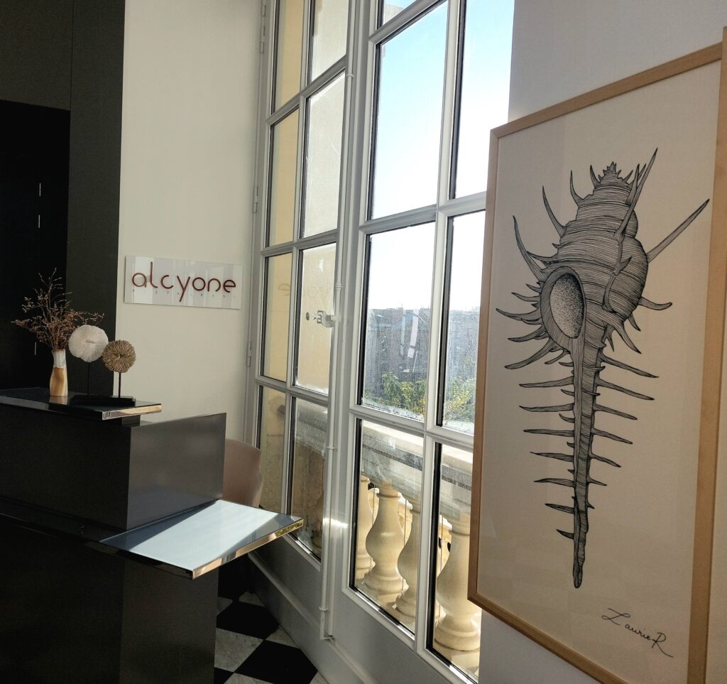 dessins alcyone