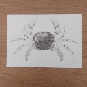 Dessin original Crabe