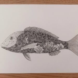 Dessin original Denti